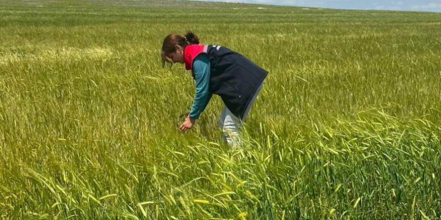 Kars'ta Köylerde Hasar Tespit Çalışmaları Başlatıldı