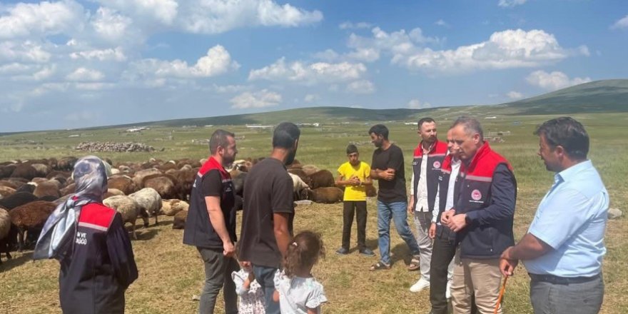 Digor Yaylalarında 10 Bin Hayvan İçin Sağlık Taraması