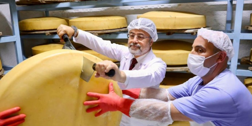 Bakan Yumaklı, Kars'ta Gravyer ve Kaşar Üretim Tesisini Ziyaret Etti