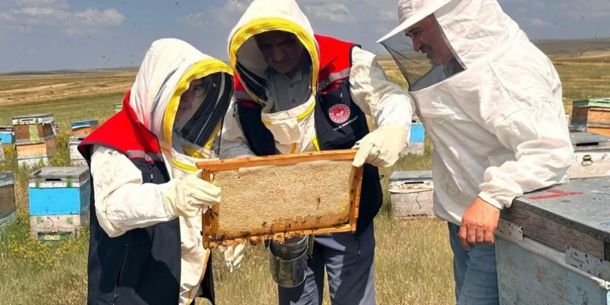 Kars'ta Arılı Kovan Denetimleri Sürüyor