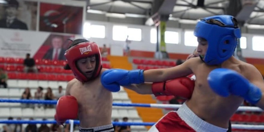 Kars’ta Kick Boksta 10 Ülkeden 413 Sporcu Ani İçin Ter döktü