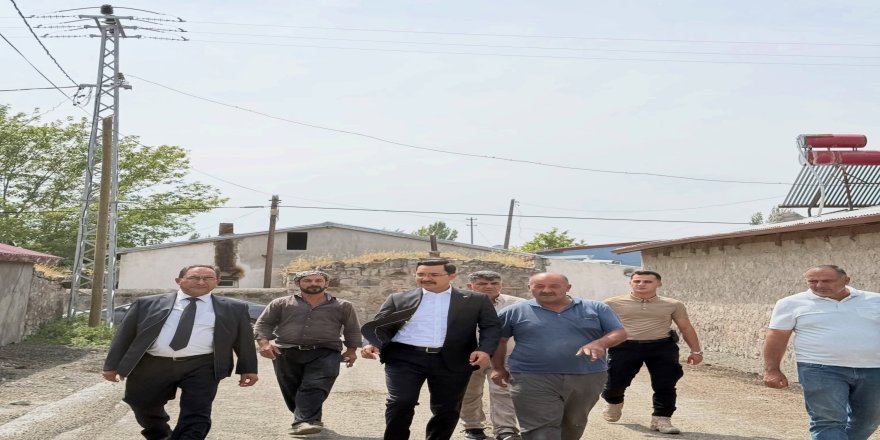 Kaymakam Demirtaş Köydeki Çalışmaları İnceledi