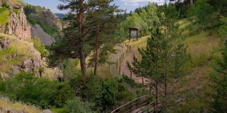 Doğa Severlerin Yeni Gözdesi: Sarıkamış Keklik Deresi
