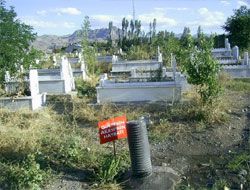 Mezarlığa 2 bin 500 fidan dikildi