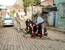 Kurban kesimi başladı