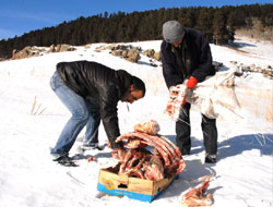 Doğaya yem bırakıldı