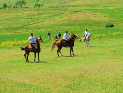 Kars’ta cirit sezonu başladı