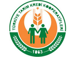 Birtaneden TKK Tepkisi