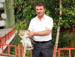 Yaralı Toy kuşu tedavi altında
