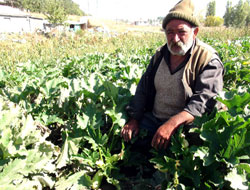 Toprak hile kabul etmez