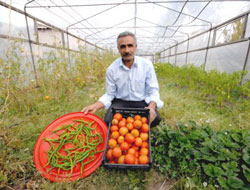 Organik Ürünler Satışa Sunuldu