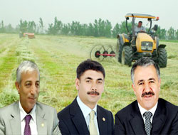 Gürcistandan ot girişleri başladı