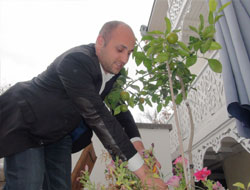 Mandalina ve limon yetişir mi demeyin