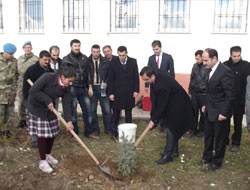 Dağpınar’da ağaç dikimi