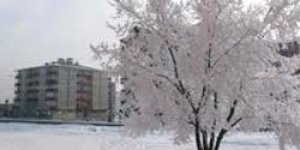 Sıcaklık Eksi 28 Derece