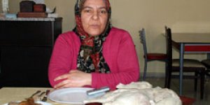 Kazlar yılbaşı soflarını süsledi