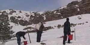 Yaban hayata destek geldi