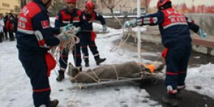 Deprem Tatbikatı Nefes Kesti