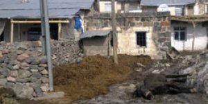 Kaçak Telef Etti