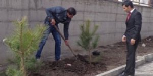 Anadolu Lisesi’nde fidan dikimi