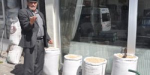 Çiftçi, tohum ve mazot derdinde
