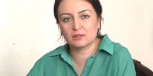 Ankara Barosu “Gelincik Projesi”