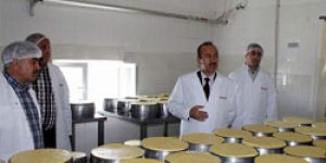 Süt ve Süt Ürünleri’nin AB Standardı