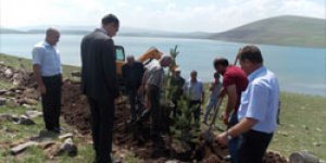 Aygır Gölü Ağaçlandırma Projesi