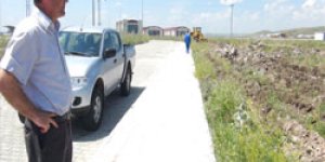 Orman,Üniversiteyi ağaçlandırıyor