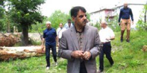 Kars’ın çılgın projesi ve dev ağaçlar