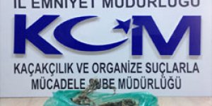 Kars’ta esrar operasyonu