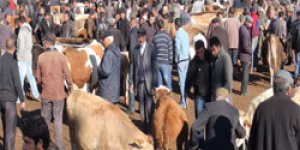Kurban Pazarında Sahte Para