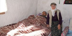 Çiftin Yaşam Mücadelesi