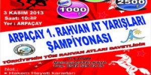 Rahvan at yarışları şampiyonası