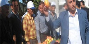 Kağızman’da 3üncü Uzun Elma Şenliği