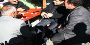 Bozkuşun közde çay keyfi