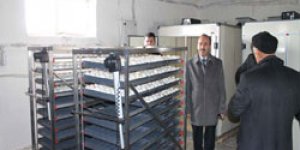 Kaz Üretim İşletmesi açıldı