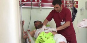 Sarıkamış’ta ayı vatandaşı yaraladı