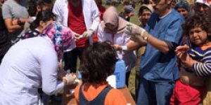 Arpaçay’da kuduz paniği
