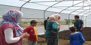 AKAKP ile Seracılık Gelişiyor