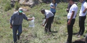 Yeni Habitatlarına Taşındılar