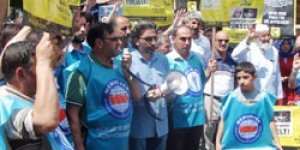 14 Ağustos Dünya Rabia Günü