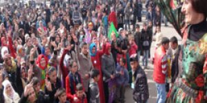 HDP-DBP’nin 8 Mart Etkinliği