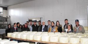 Kars’ta 30 Çeşit Peynir Çıktı