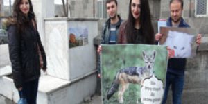 Hayvanları için seferber oldular