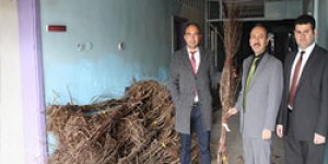 Kars’ta fidan dağıtımı