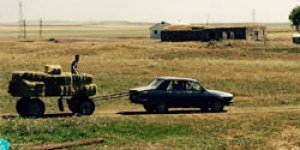 Otomobille ot çektiler