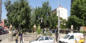 Park mı, değil mi?