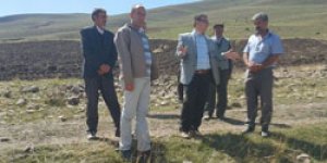Taş Toplama Projesi