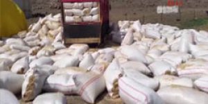 Esrar operasyonunda 7 kişi tutuklandı